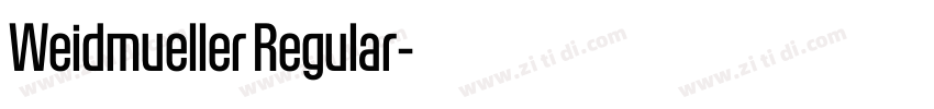 Weidmueller Regular字体转换
